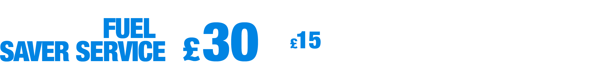 15 Point Fuel Saver Service only £15 when booked with any Short or Master service.