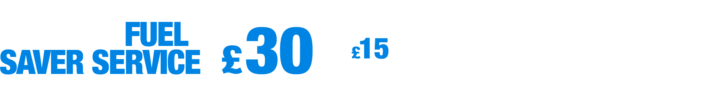 15 Point Fuel Saver Service only £15 when booked with any Short or Master service.
